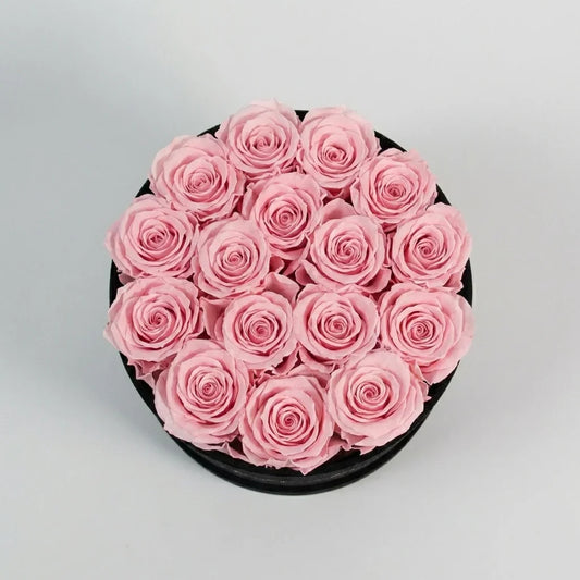 THE CLASSIC VELVET ROUND