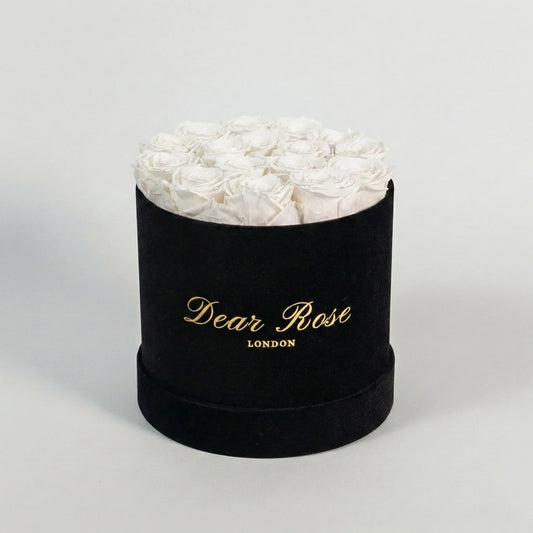 THE CLASSIC VELVET ROUND