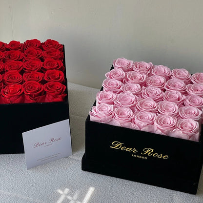 THE GRAND VELVET SQUARE