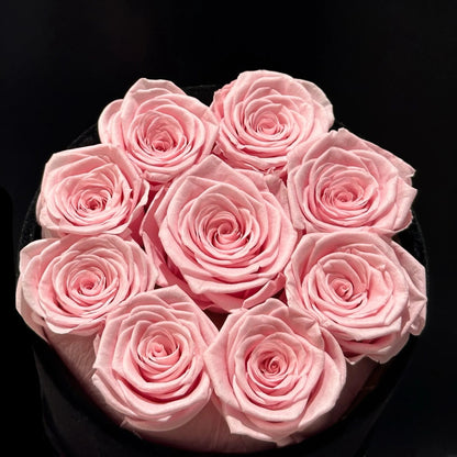 THE PETITE VELVET ROUND