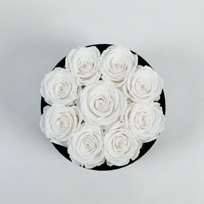 THE PETITE VELVET ROUND